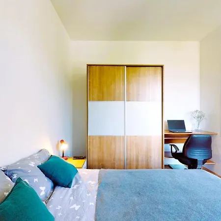 Apartment New Budget For Up To 5 Guests